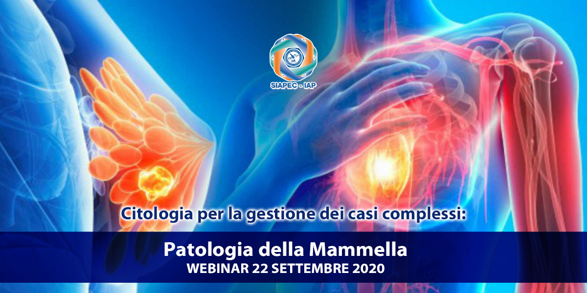 cm1200x600_mammella22sett