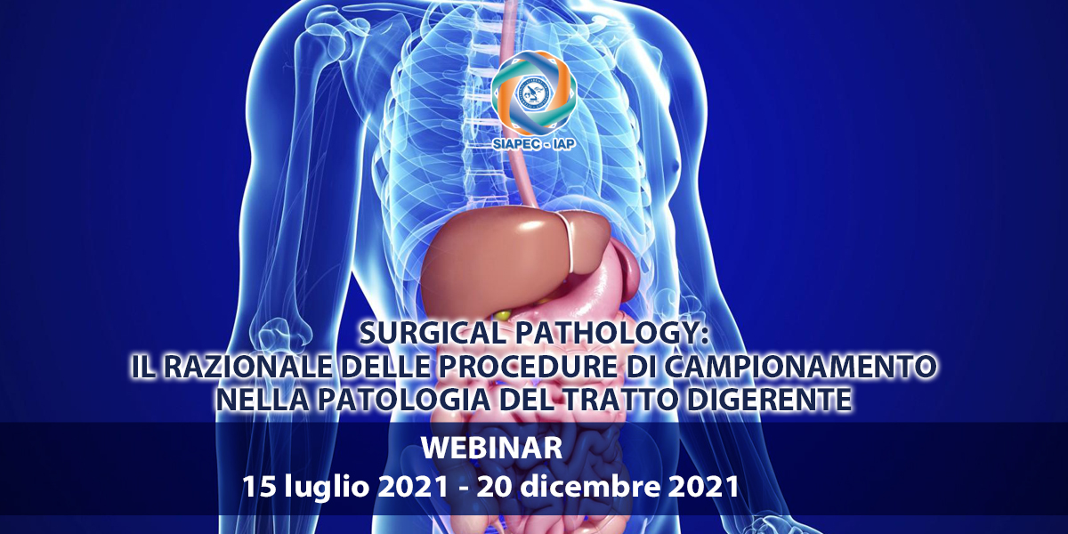 cm1200x600 Surgical Pathology patologia del Tratto Digerente 15 luglio – 20 dicembre 2021