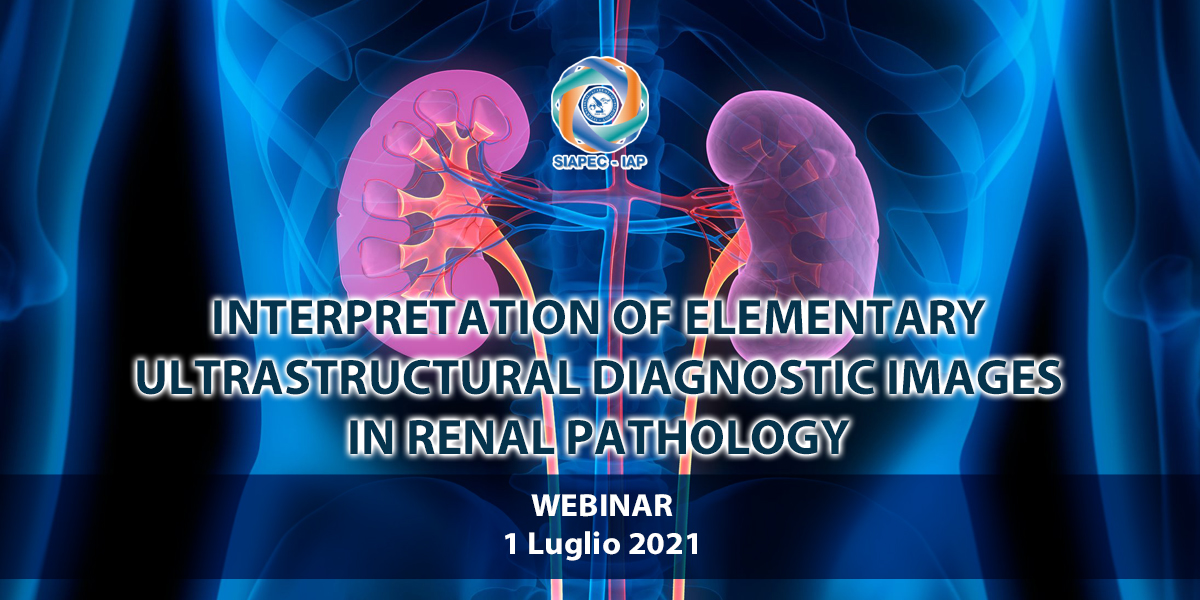 cm1200x600 renal pathology 1 Luglio 2021